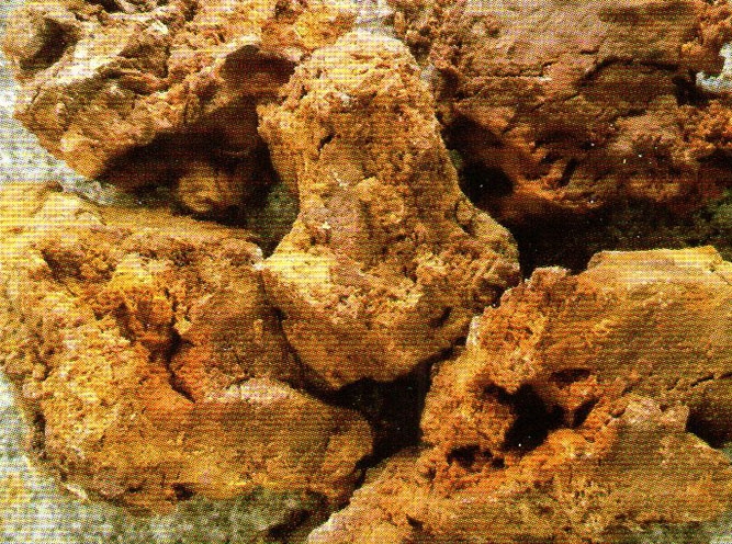 辽宁出口镁钙碳砖价格